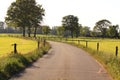 Dutch landscape with tarred road Royalty Free Stock Photo