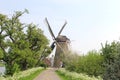 Landscape with corn windmill and Dutch flags,Netherlands
