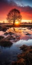 Dutch Landscape Tree Reflection In Richly Colored Skies Royalty Free Stock Photo