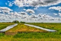 Dutch Landscape Royalty Free Stock Photo