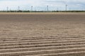 Dutch landscape with wind turbines and plowed field in early spring Royalty Free Stock Photo