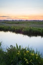 Dutch landscape with yellow flowers along the waterside