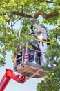 Dutch man fights caterpillars nest in aerial platform