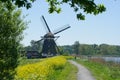 Dutch mill in spring Royalty Free Stock Photo