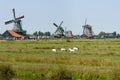 Dutch mills in Zaanse Schans Royalty Free Stock Photo