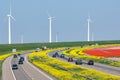 Dutch motorway near lelystad along colorful tulip fields and windturbines