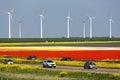 Dutch motorway near lelystad along colorful tulip fields and windturbines