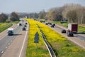 Dutch motorway near Lelystad with blooming rapeseed