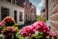 Dutch narrow street with old facades Royalty Free Stock Photo