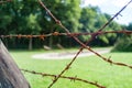 Dutch national Holocaust memorial, westerbork Royalty Free Stock Photo