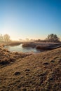 Dutch National Park Biesbosch in wintertime Royalty Free Stock Photo