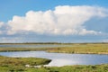 Dutch national park Oostvaardersplassen Royalty Free Stock Photo