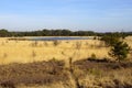 Natural heathland Strabrechtse Heide