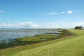 Dutch nature landscape