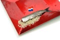 Dutch new herring Royalty Free Stock Photo
