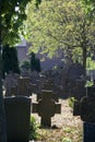 Dutch old cemetery