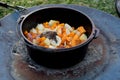 Dutch oven campfire cooking process - lamb and vegetables in a cast iron camp oven Royalty Free Stock Photo