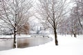 Dutch park in wintertime Royalty Free Stock Photo