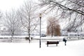 Dutch park in wintertime Royalty Free Stock Photo