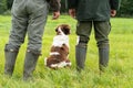 Dutch partridge dog, Drentse patrijs hond, sitting between two hunters waiting for a test in the sunlight Royalty Free Stock Photo