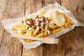 Dutch patatje oorlog means war chips and is a tasty combination of French fries, mayo, raw onions and Indonesian sauce ÃÂloseup in
