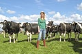 Dutch peasant woman with her cows Royalty Free Stock Photo