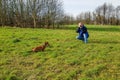 Dutch plain with a photographer taking a photo, dachshund sitting on green grass Royalty Free Stock Photo