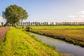 Dutch polder landscape with ditch and country road Royalty Free Stock Photo