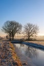 Cold morning in a Dutch polder Royalty Free Stock Photo