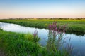 Dutch polder landscape in the evening Royalty Free Stock Photo