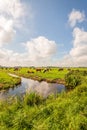 Dutch polder landscape with grazing cows Royalty Free Stock Photo