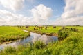 Dutch polder landscape with grazing cows Royalty Free Stock Photo