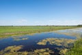 Flat, wide open Dutch polder landscape with green meadows and water features in spring Royalty Free Stock Photo