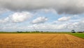 Dutch polder landscape after harvest