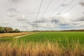 Dutch polder landscape with high voltages lines