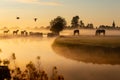 Dutch polder landscape with horses in the mist