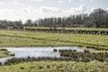 Dutch polder scene