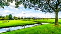 Dutch Polder Landscape in the Netherlands