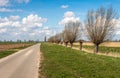 Dutch polder landscape with recently pruned pollard willows Royalty Free Stock Photo