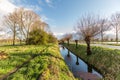 Dutch polder landscape in spring with pollard willows Royalty Free Stock Photo