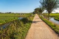 Dutch polder landscape in summertime Royalty Free Stock Photo