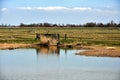 Dutch polder landscape