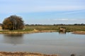 Dutch polder landscape Royalty Free Stock Photo