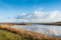 Dutch polder landscape Royalty Free Stock Photo