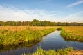 Dutch polder landscape on a windless autumn day