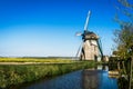 Dutch Poldermolen (mill) near tulip fields.