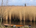 Dutch reed landscape 1 Royalty Free Stock Photo