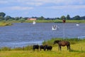 Dutch river the IJssel Royalty Free Stock Photo