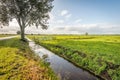 Dutch rural landscape in autumn