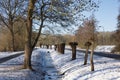 Dutch rural landscape with ditch and pollarded willows in wintertime Royalty Free Stock Photo